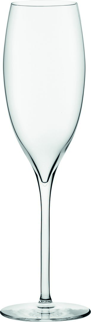 Terroir Champagne Flute 10.5oz (30cl) - P66098-000000-B06012 (Pack of 12)